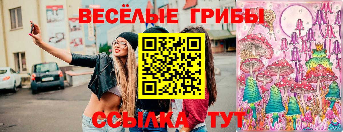 Галлюциногенные грибы ЛСД  Вход с VPN  Орск 